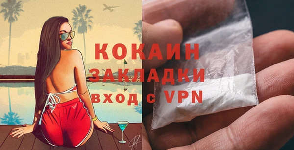 твердый Бронницы