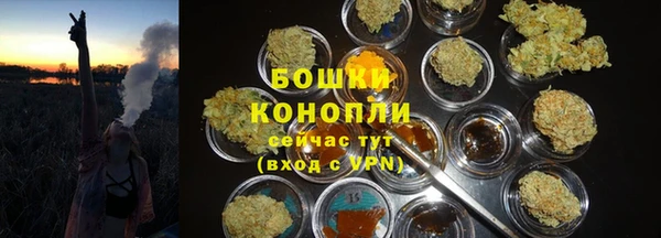 твердый Бронницы